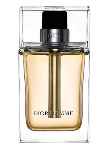 dior homme 2005 aw|Dior Homme parfum by christian.